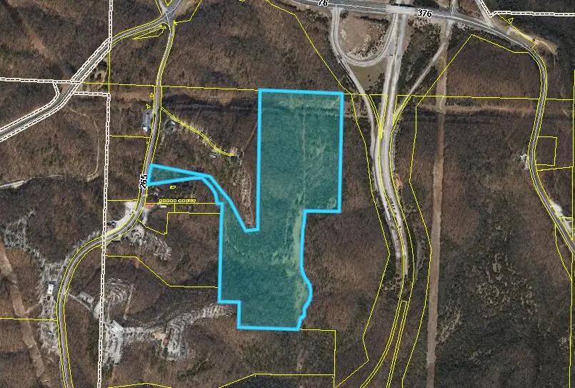 000 State Highway 265, Branson, MO 65616 - #2