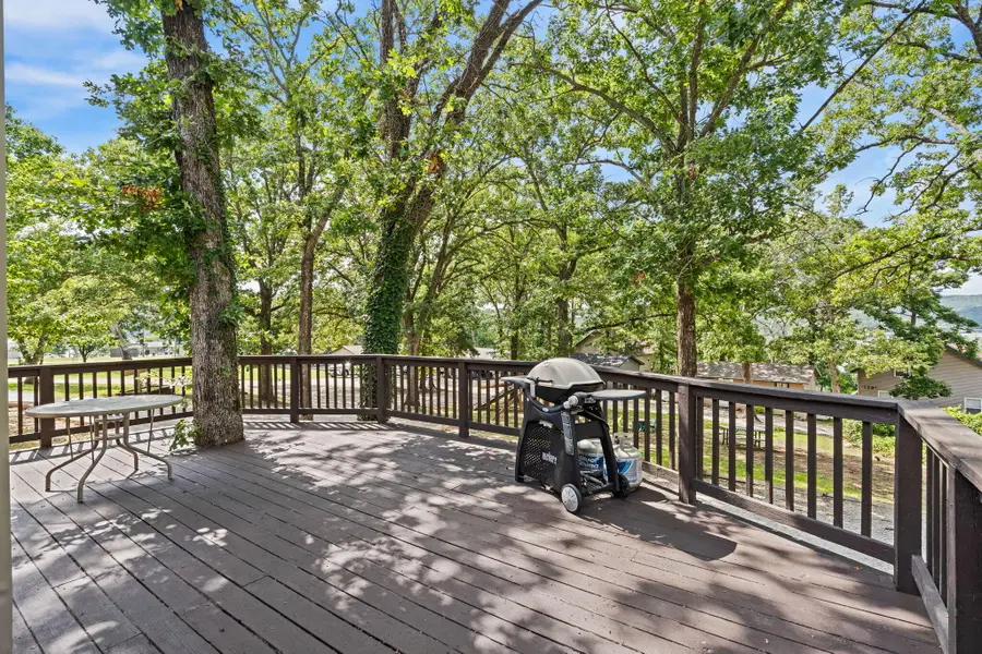 58 Kings Cove Lane, Reeds Spring, MO 65737 - #3