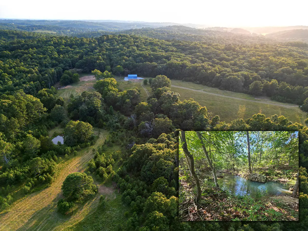 0 Sargent Road, Willow Springs, MO 65793 - #1