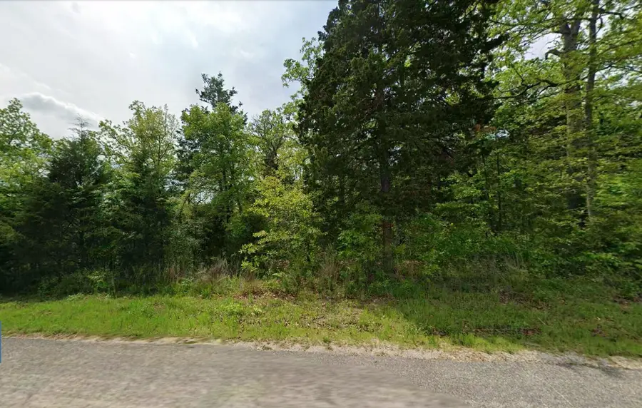 430 Huntington Drive, Branson, MO 65616 - #2