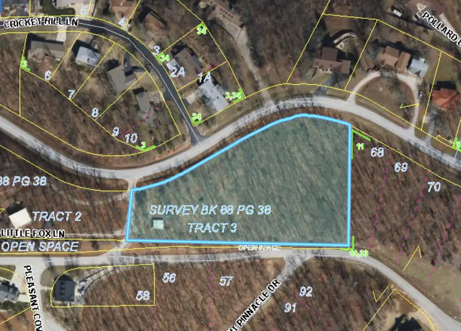 24 Little Fox Lane, Lampe, MO 65681 - #3