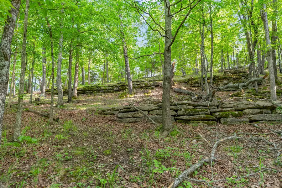 000 El Monte - Lot 2, Branson, MO 65616 - #2