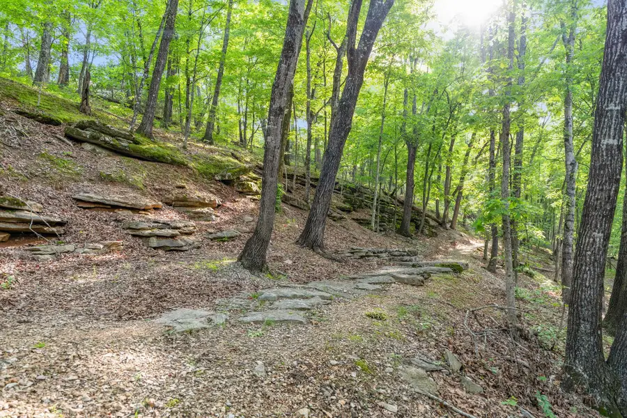 000 El Monte - Lot 2, Branson, MO 65616 - #3