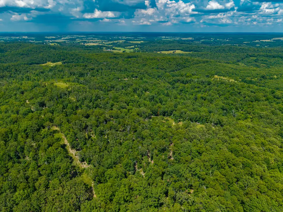 000 Berry Road #S 40, Cabool, MO 65689 - #2