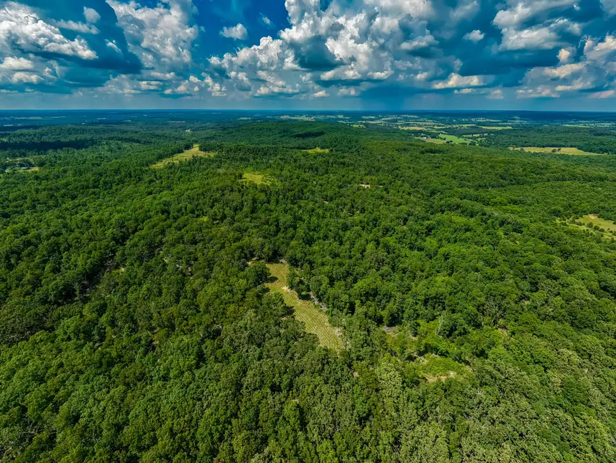 000 Berry Road #E 80, Cabool, MO 65689 - #2