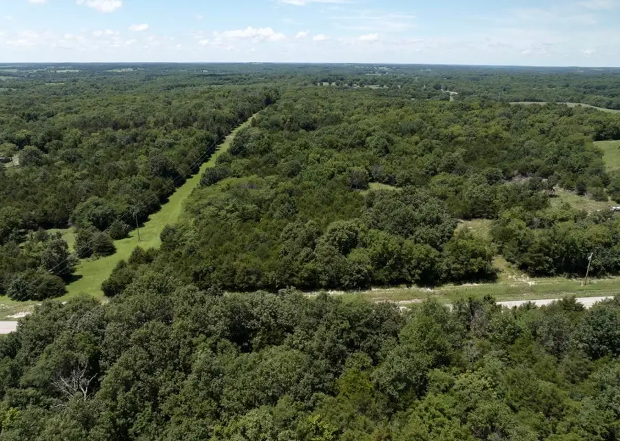378 State Route U, Walnut Grove, MO 65770 - #2