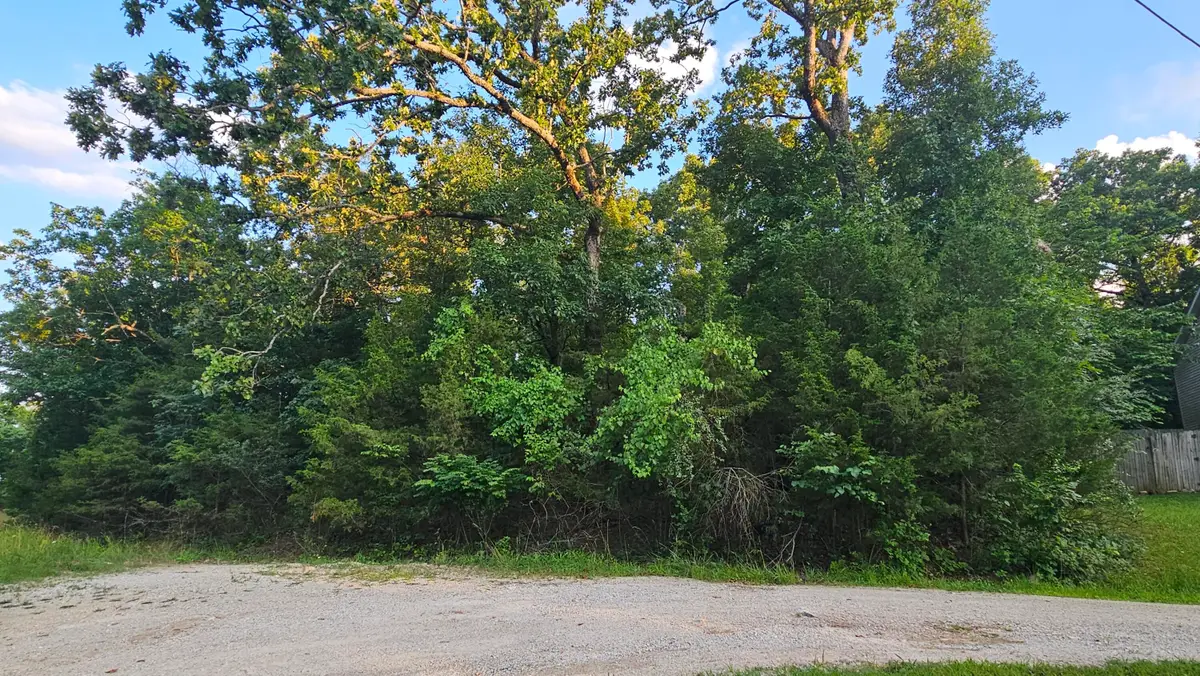 000 Morningview, Merriam Woods, MO 65740 - #1