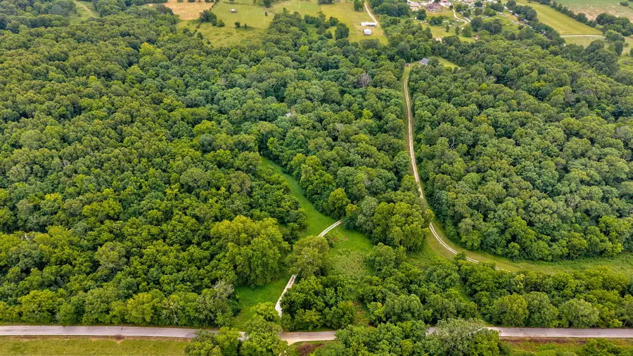 326 Arliss Drive, Crane, MO 65633 - #3