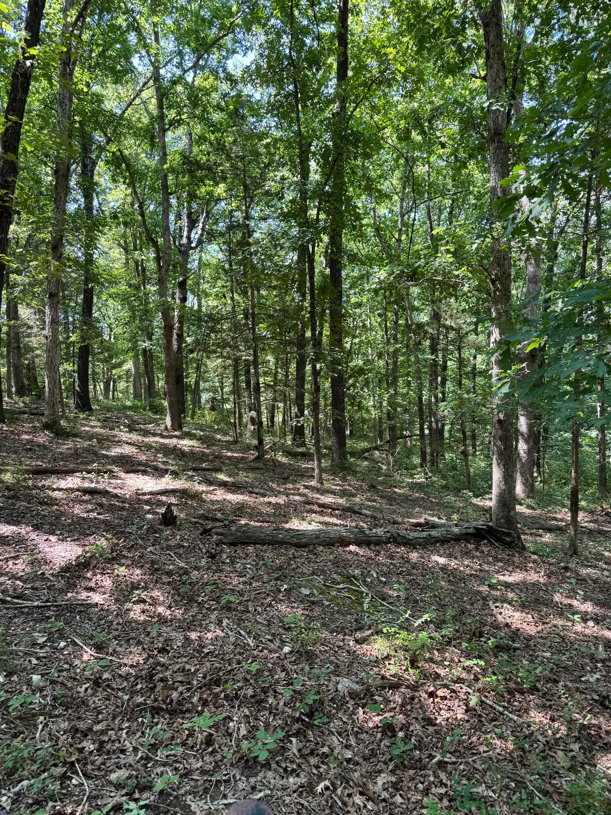 000 Clear Sky Drive, Marshfield, MO 65706 - #1