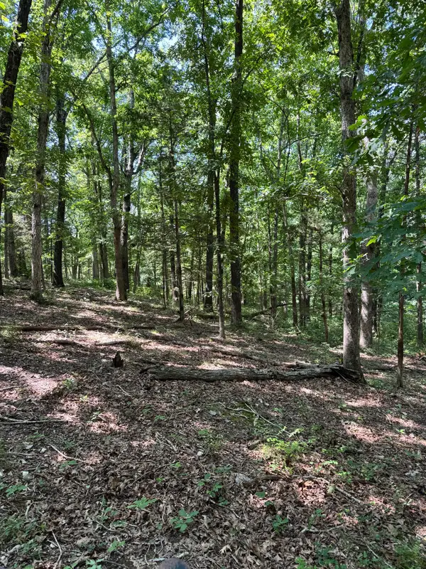 000 Clear Sky Drive, Marshfield, MO 65706