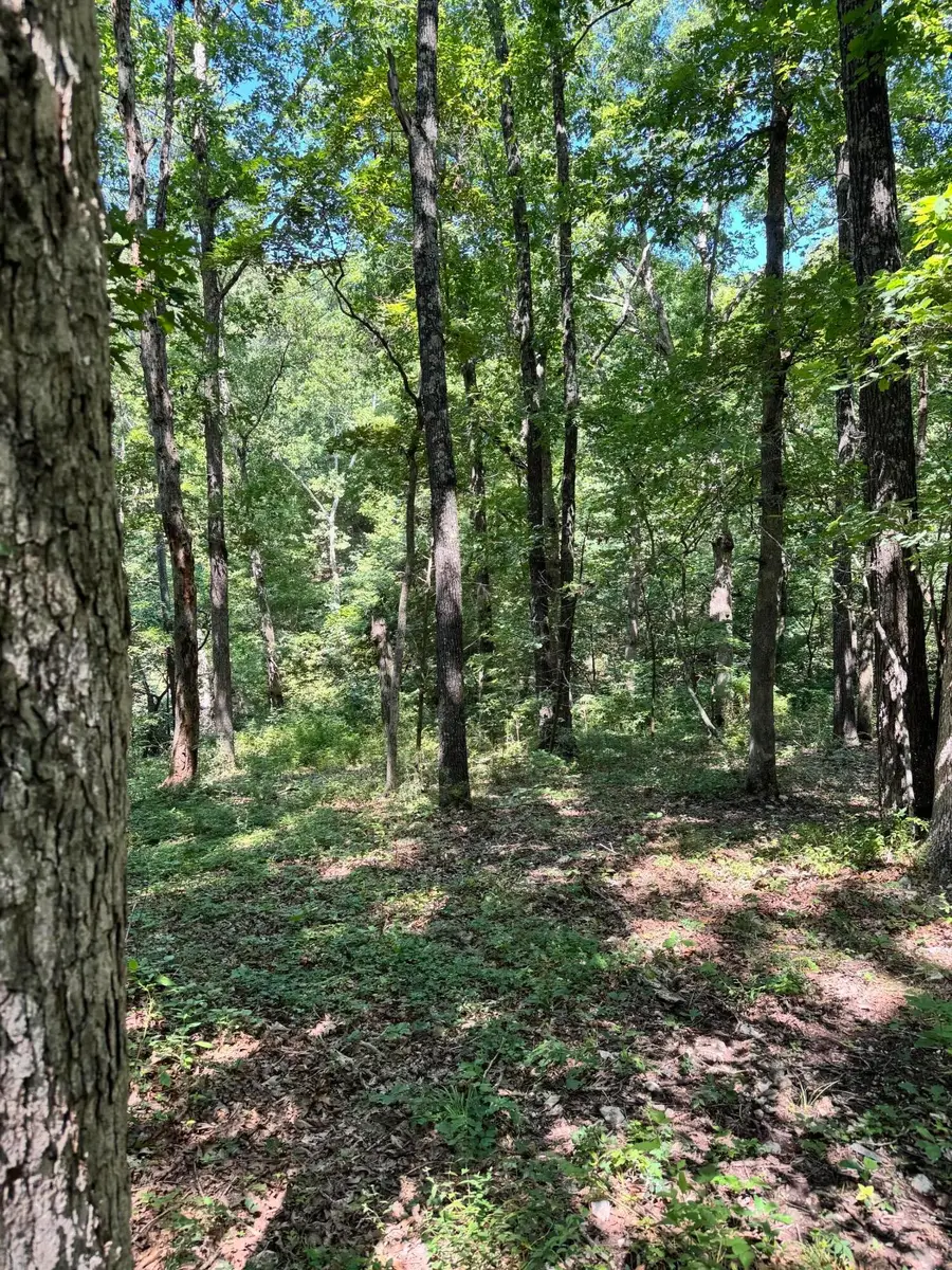 000 Clear Sky Drive, Marshfield, MO 65706 - #2