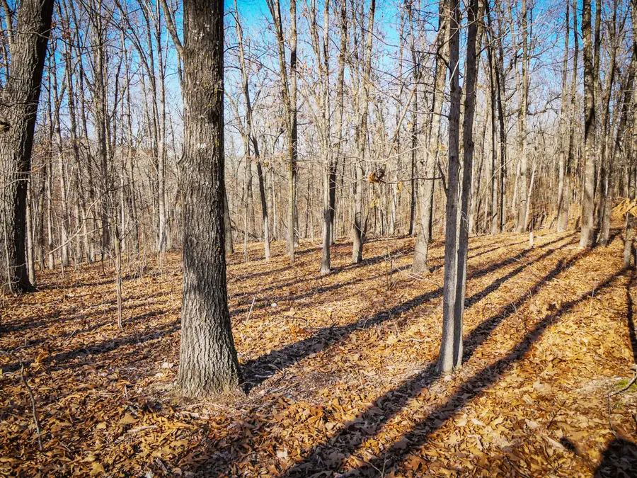 000 Ridge Trail Road #Lot D, Tunas, MO 65764 - #2