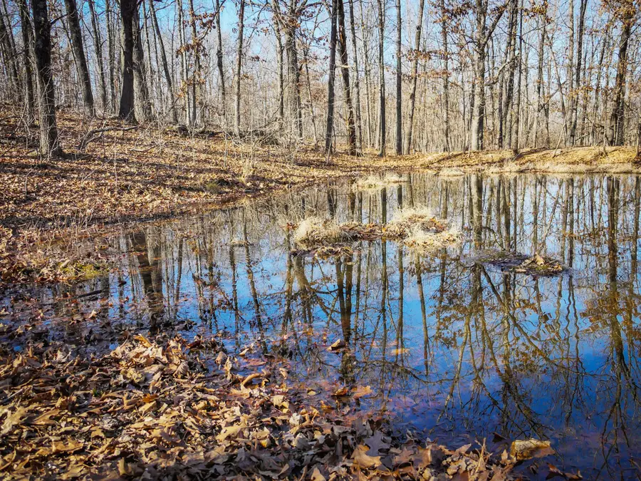 000 Ridge Trail Road #Lot D, Tunas, MO 65764 - #3