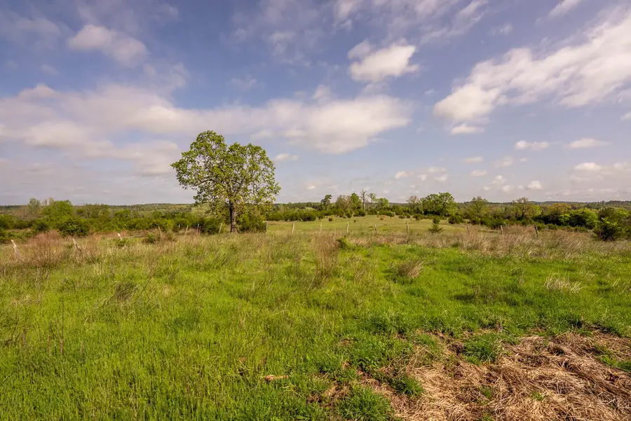 Tract 2 Little Woods Road, Elizabeth, AR 72531 - #3