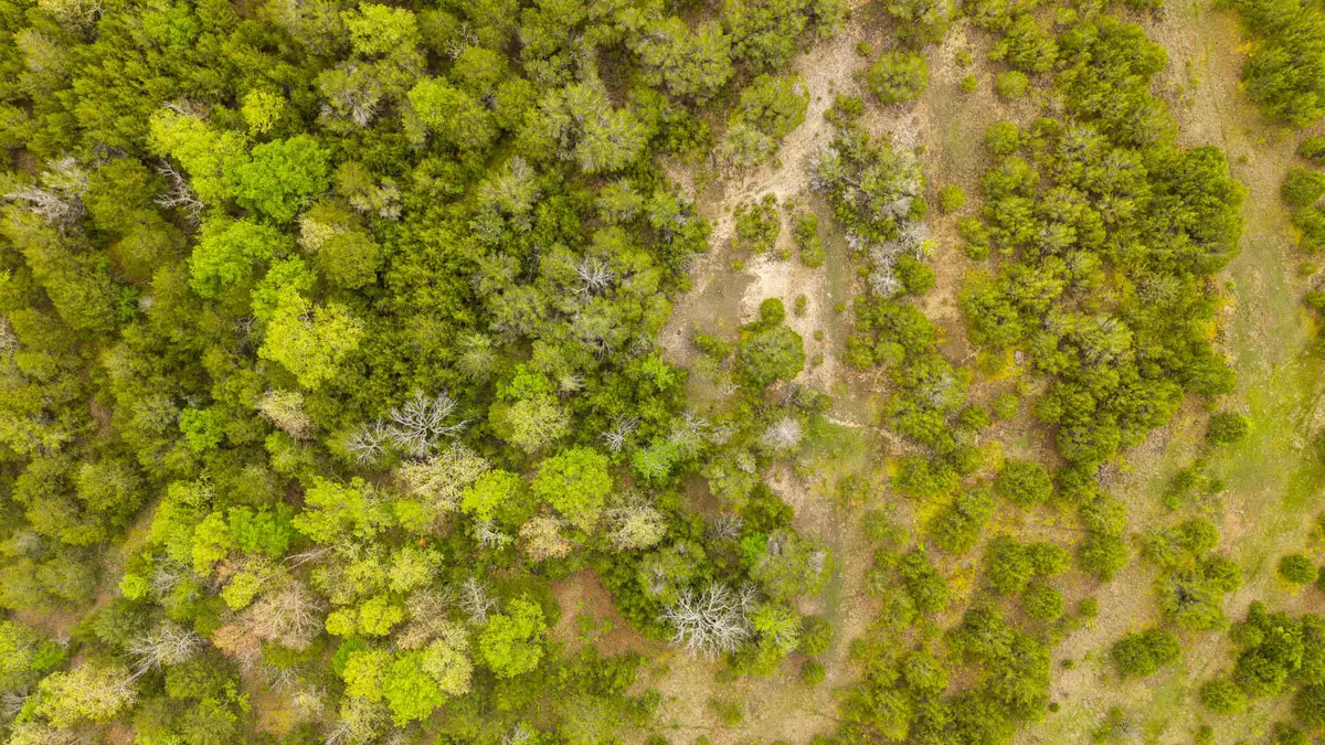 Tract 3 Little Woods Road, Elizabeth, AR 72531 - #1