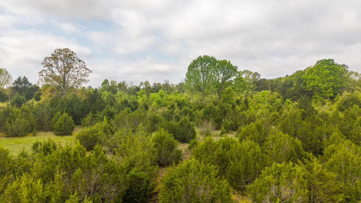 Tract 8 Little Woods Road, Elizabeth, AR 72531 - #1