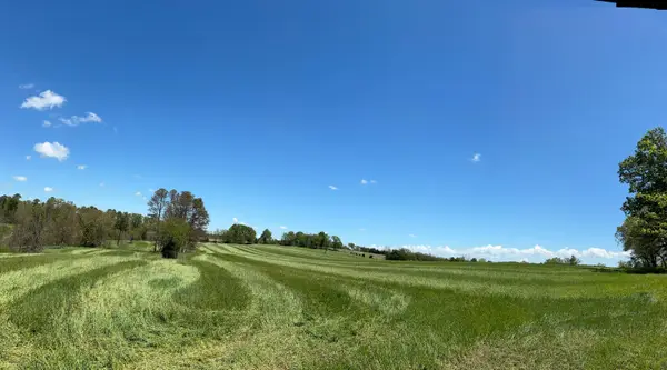 Tbd County Road 14-252, Drury, MO 65638
