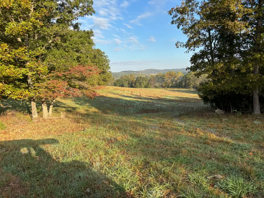 Tbd County Road 14-252, Drury, MO 65638 - #2