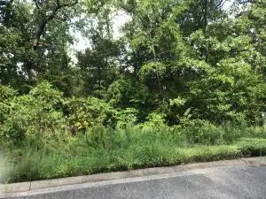 75 Skylee Drive, Hollister, MO 65672 - #1