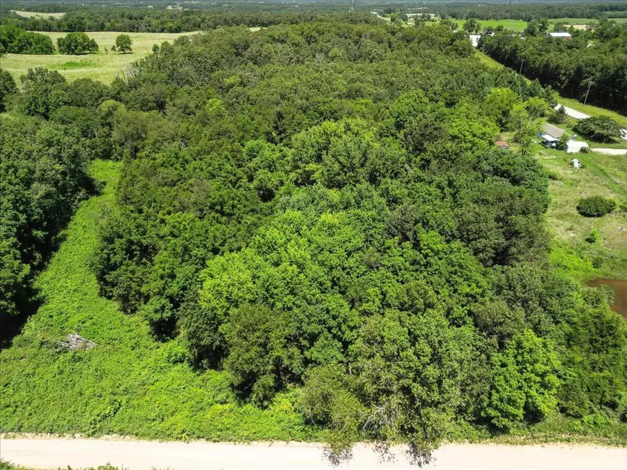 000 Highway 17, Summersville, MO 65571 - #2