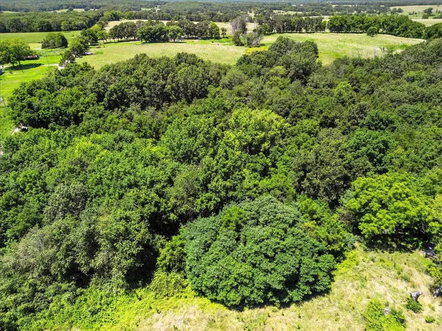 000 Highway 17, Summersville, MO 65571 - #3