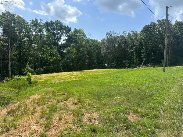 234 Goldfinch Lane, Shell Knob, MO 65747