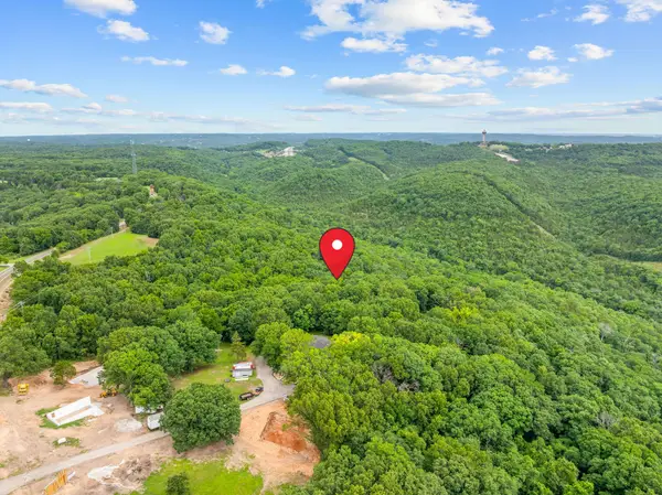 Lot 12 Welkom Drive, Branson, MO 65616