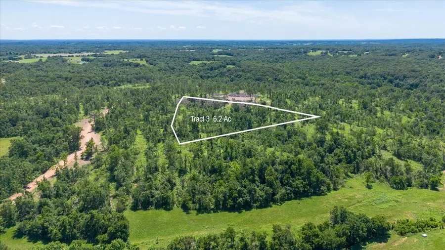 Lot 3 Adams Road, Goodman, MO 64843 - #2