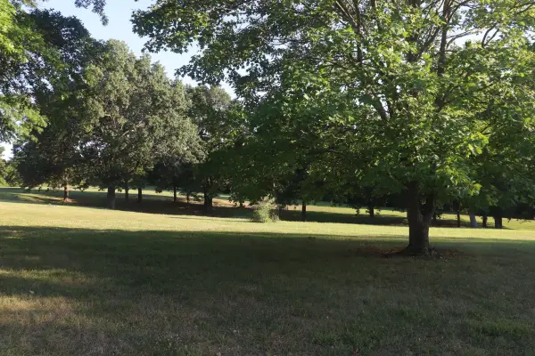 17984 State Highway 248, Cassville, MO 65625