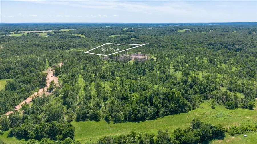 Lot 8 Adams Road, Goodman, MO 64843 - #2