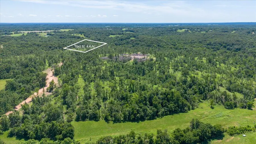 Lot 10 Adams Road, Goodman, MO 64843 - #2