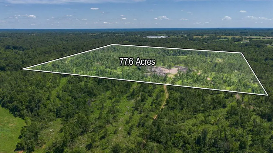 Lot 12 Adams Road, Goodman, MO 64843 - #3