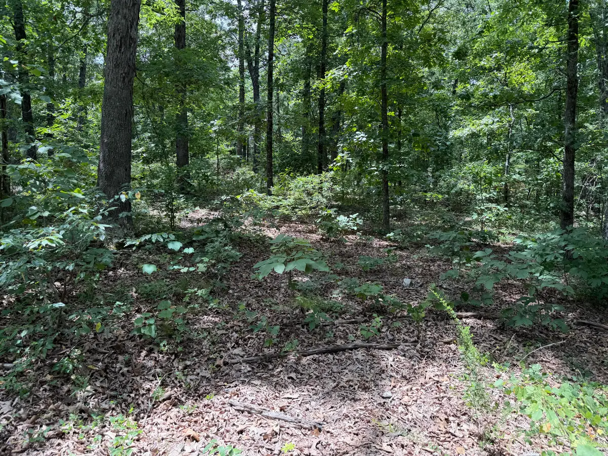 000 State Hwy. 76, Cape Fair, MO 65624 - #1