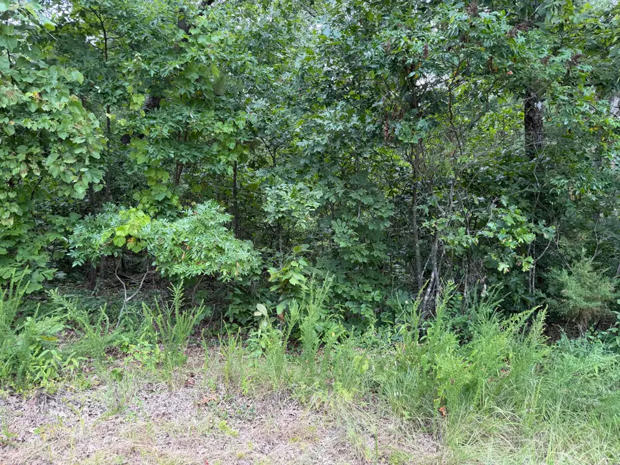 000 State Hwy. 76, Cape Fair, MO 65624 - #2