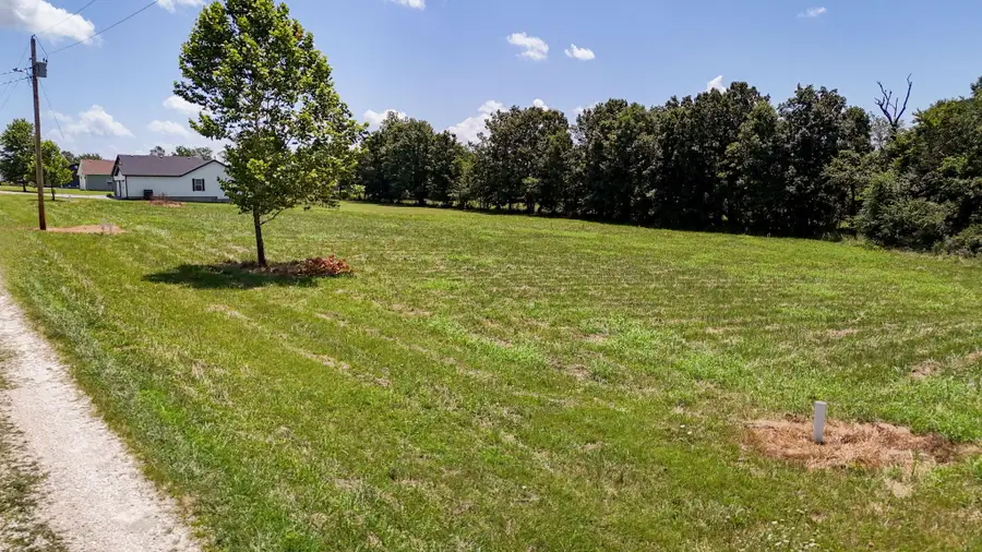 2490 E 549th Road, Buffalo, MO 65622 - #2