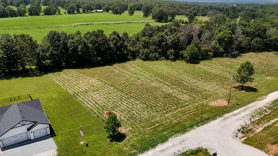 2492 E 549th Road, Buffalo, MO 65622 - #3