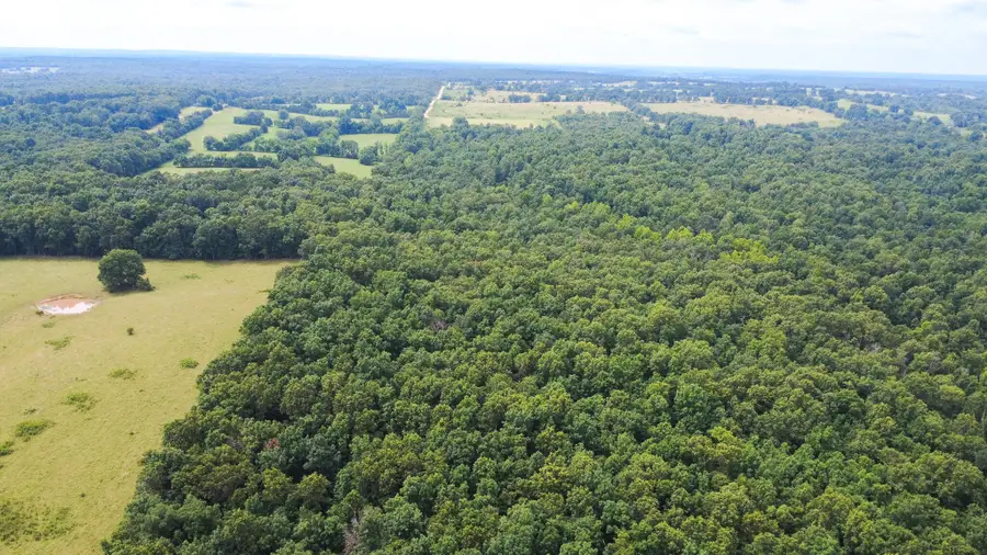 3899 County Road 304, Alton, MO 65606 - #2