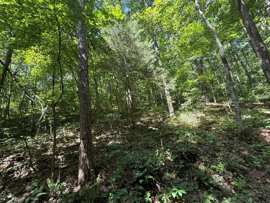 000 County Road 179, Dora, MO 65637 - #2