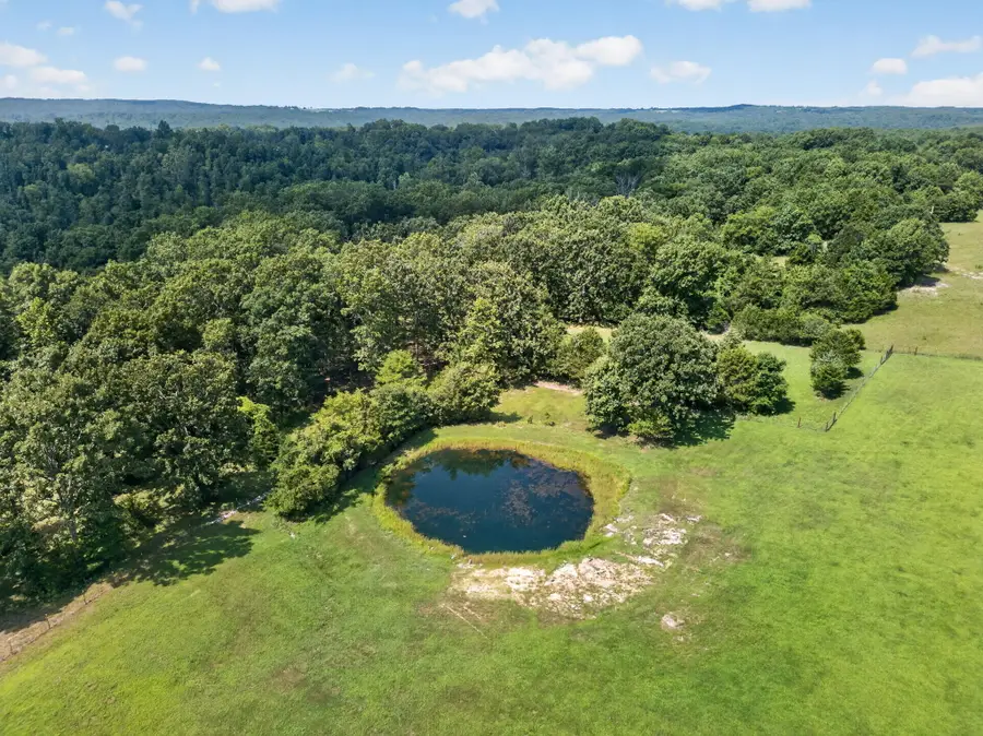 10616 Dogwood Road, Mountain Grove, MO 65711 - #3