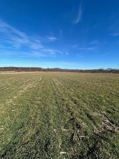 000 Holly Road, Pierce City, MO 65723
