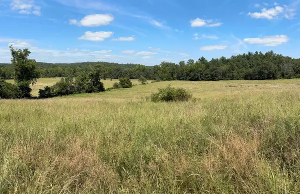 3922 County Road 534, Ellington, MO 63638