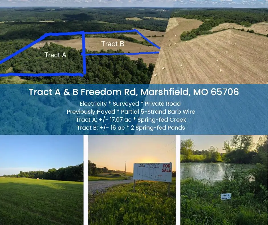 Tract B Freedom Road, Marshfield, MO 65706 - #1