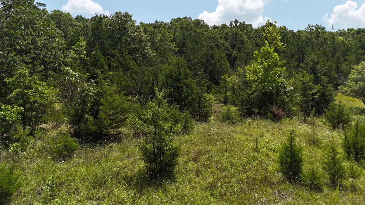 0 Mills Valley Boulevard, Marshfield, MO 65706 - #1