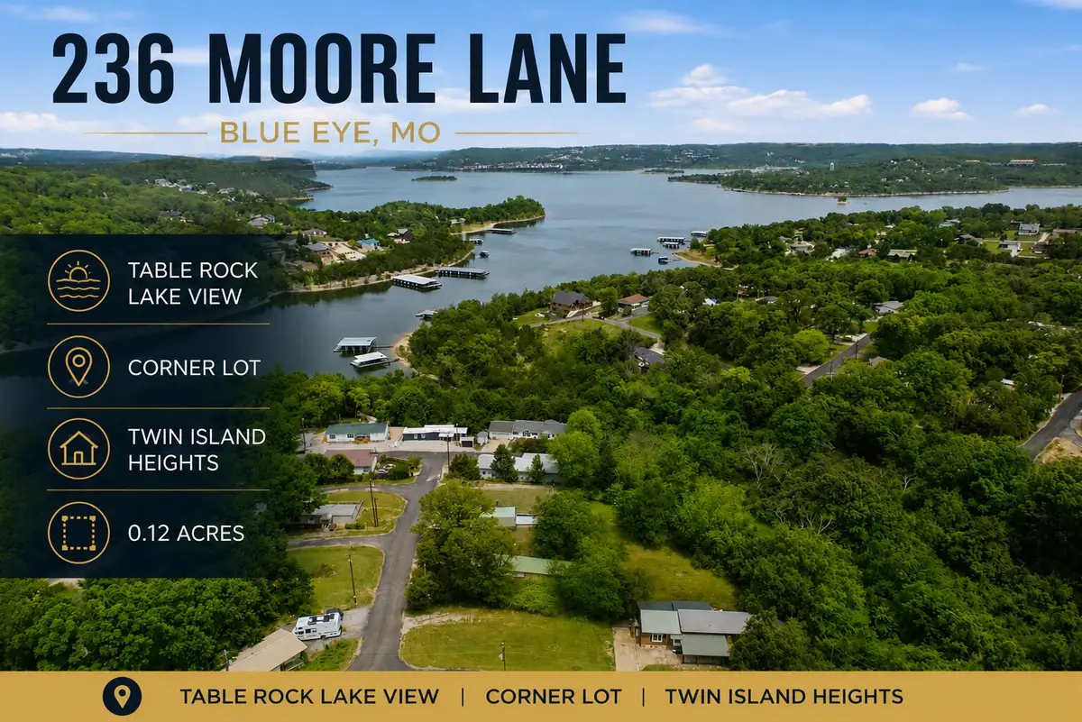 236 Moore Lane, Blue Eye, MO 65611 - #1