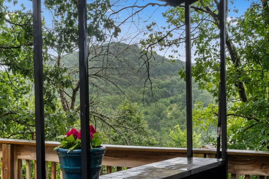 490 Airport Road, Branson, MO 65616 - #3