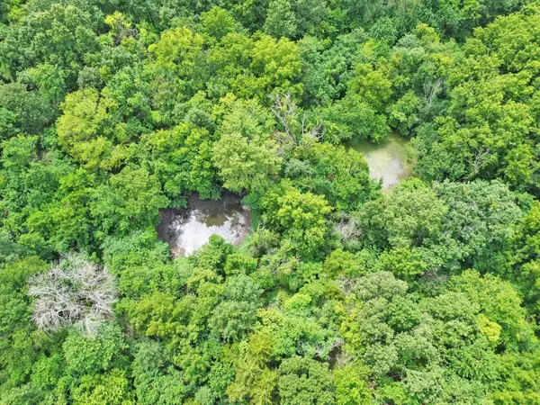 Address Withheld By Seller, Lockwood, MO 65682