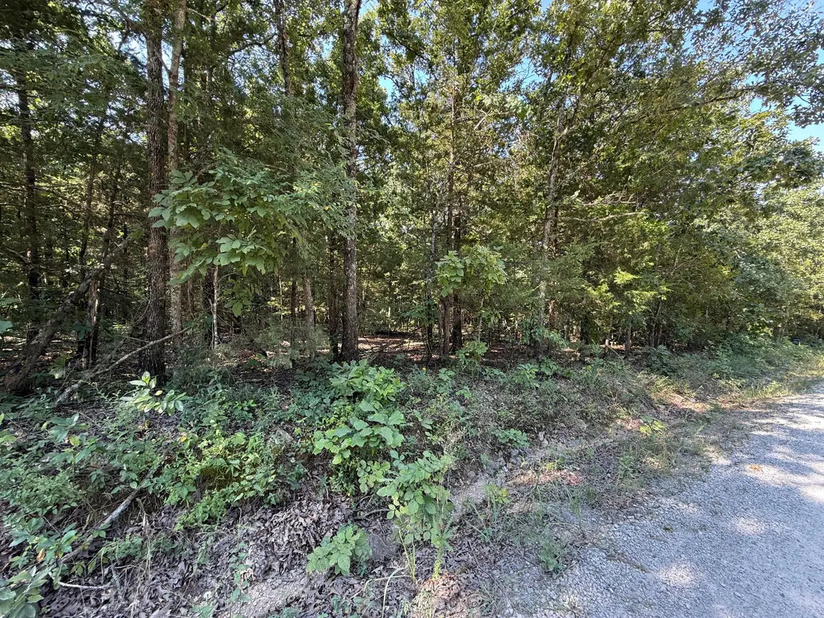16 +- Ac Spring Valley Road, Shell Knob, MO 65747 - #1