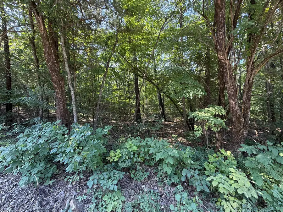 16 +- Ac Spring Valley Road, Shell Knob, MO 65747 - #3