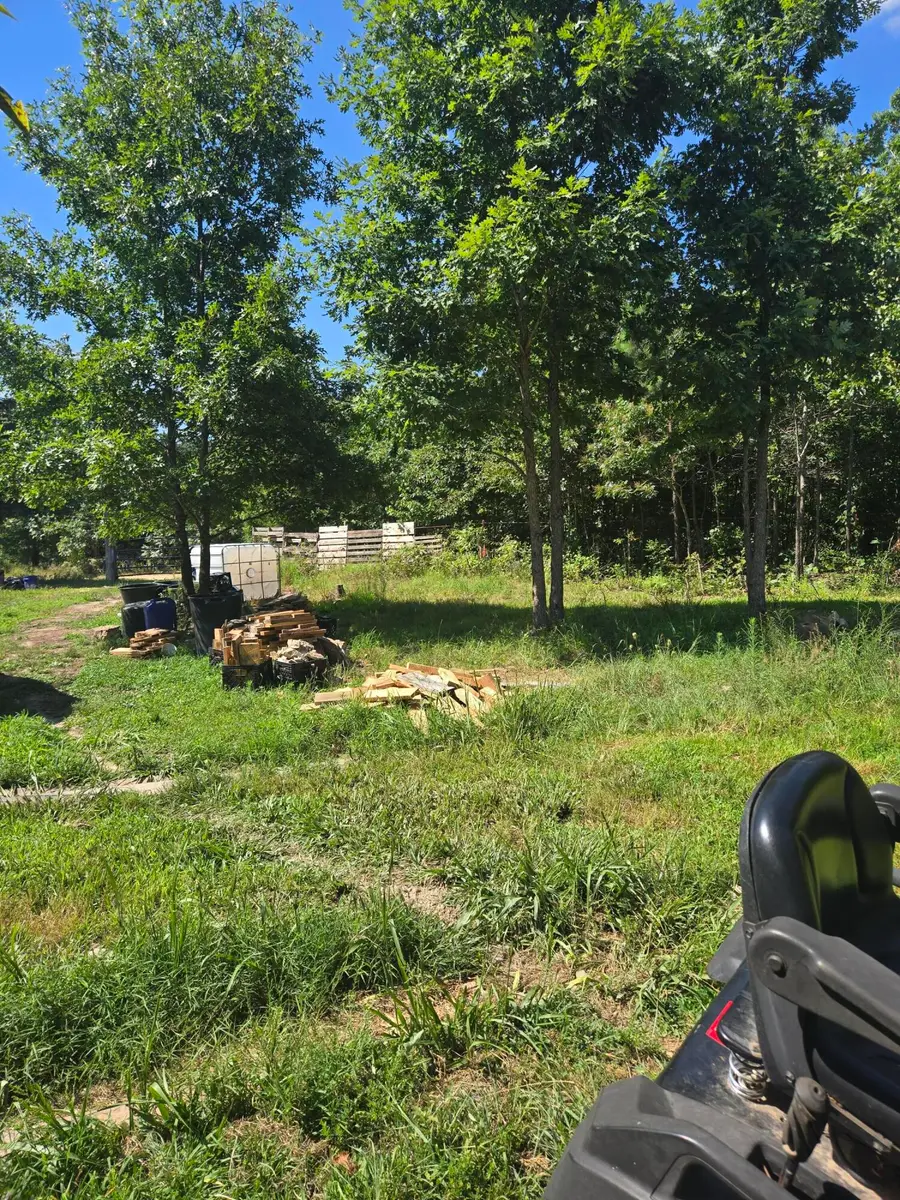 10302 County Road 459, Birch Tree, MO 65438 - #3