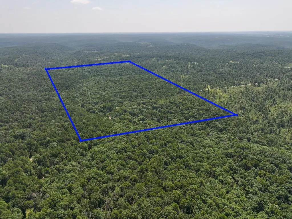 9102 Lynch Drive, Bucyrus, MO 65444 - #1